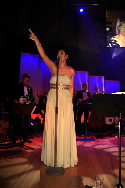 Landespresseball2011 149.jpg